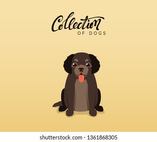 Cute dogs labrador and retriever. Flat animal cartoon character. Cute dogs labrador and retriever. Flat animal cartoon character.