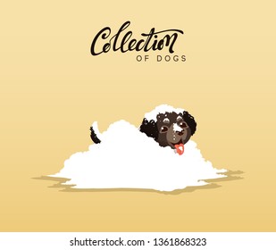 Cute dogs Labrador and retriever. Flat animal cartoon character. vector illustration