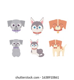 cute dogs lying standing and sit domestic cartoon animal, pets vector illustration