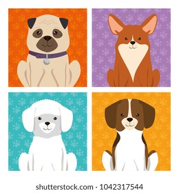 cute dogs mascots icon