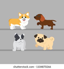 Cute dogs on gray background.The welsh corgi, pug, beagle, English bulldog. Vector illustration in cartoon style.