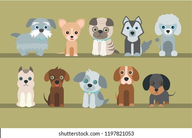 Cute dogs on green background. The pug, bigle, Yorkshire terrier, husky, dachshund and mongrels. Vector illustration in cartoon style.
