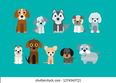 Cute dogs on green background.The pug, bigle, Yorkshire terrier, husky, dachshund and mongrels. Vector illustration in cartoon style.
