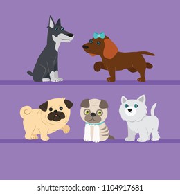 Cute dogs on violet background.The beagle, English bulldog, husky, little pug,mongrel. Vector illustration in cartoon style.