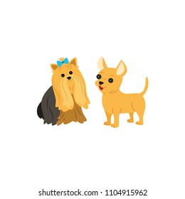 Cute dogs on white background.The Yorkshire Terrier and toy Terrier. Vector illustration in cartoon style.