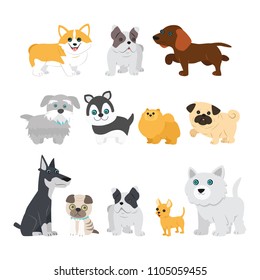 Cute dogs on white background. The welsh corgi, pug, Yorkshire 
terrier, husky, toy Terrier, Spitz, beagle, mongrels, English 
bulldog. Set from vector illustration in cartoon style.