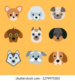 Cute dogs on yellow background. The pug, bigle, chihuahua, bulldog, poodle, dachshund, husky and mongrels. Vector illustration in cartoon style.
