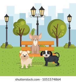 cute dogs in the park scene