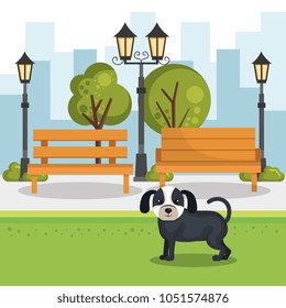 cute dogs in the park scene