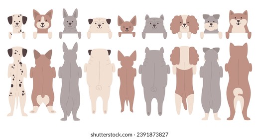 Cute dogs peeking out standing in row front and back view isolated set on white background. Funny puppy domestic animals looking with curious emotion vector illustration. Little smart pet muzzles