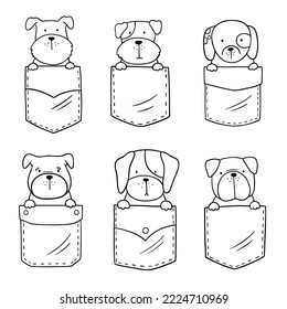 Cute dogs in pocket. Doodle cartoon style. Dog face outline. Adorable dog sitting in the pocket. Sketch vector illustration. Good for posters, t shirts, postcards.