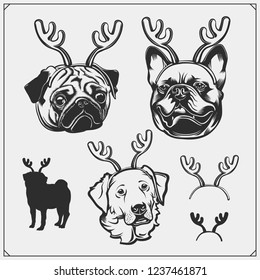 Cute dogs portrait with Christmas antlers. French Bulldog, Pug and Golden Retriever with reindeer horns. Print design for t-shirts.