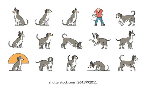 Cachorros Bonitos Posando Sobre O Fundo Simples Estúdio
