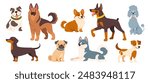 Cute dogs and puppies. Cartoon different breeds pet. Funny doggy characters. Happy friendly canine animals. Pug, corgi, poodle, husky and poodle. Vector set.