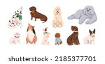 Cute dogs, puppies of different breeds set. Canine animals, diverse big and little doggies. Poodle, dachshund, dalmatian and jack russell terrier. Flat vector illustration isolated on white background
