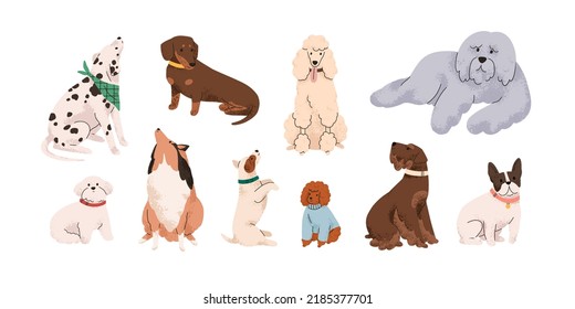 Cute dogs, puppies of different breeds set. Canine animals, diverse big and little doggies. Poodle, dachshund, dalmatian and jack russell terrier. Flat vector illustration isolated on white background - Shutterstock ID 2185377701