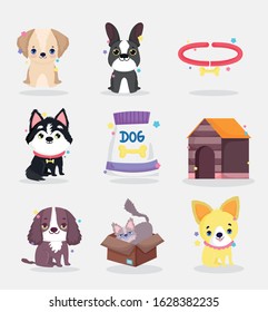 cute dogs puppy food collar house domestic cartoon animal, collection pets vector illustration