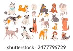 Cute dogs set. Dogs of different breeds. Canine animals pets. Sitting, standing and running pet.