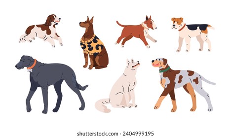 Perros pequeños. Doggies de diferentes razas. Cachorros, animales caninos caminando, paseando. Bull Terrier, English Springer Spaniel, Scottish Deerhound. Ilustración vectorial plana aislada en fondo blanco