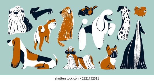 Cute dogs set. Funny doggies, puppies of different breeds. Canine animals pets. French bulldog, Akita, dachshund, dalmatian, royal poodle and shih tzu. Isolated colored flat vector illustrations