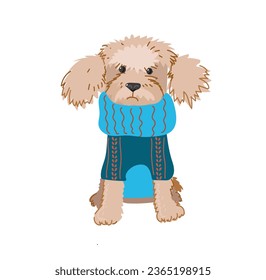 Cute dogs in warm winte rcostume. Flat vector illustration isolated on white background.