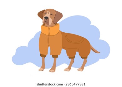 Cute dogs in warm winte rcostume. Flat vector illustration isolated on white background.