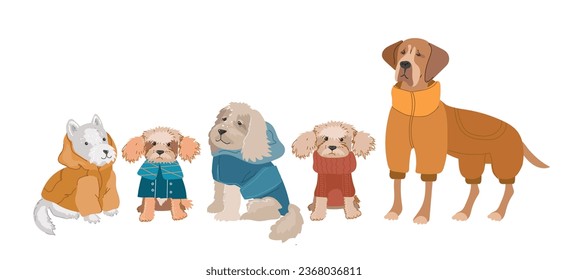 Cute dogs in warm winte rcostume. Flat vector illustration isolated on white background.