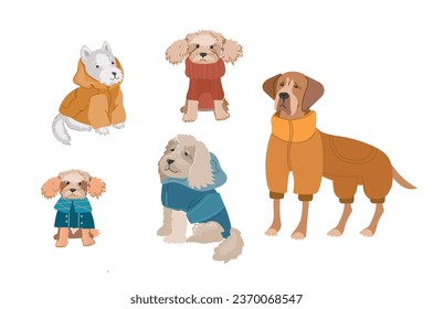 Cute dogs in warm winte rcostume. Flat vector illustration isolated on white background.