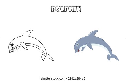 Cute dolphin animal line art color less image vector illustration, Children's pre school drawing page.