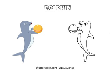 Cute dolphin animal line art color less image vector illustration, Children's pre school drawing page.