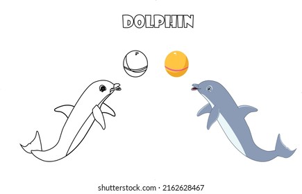 Cute dolphin animal line art color less image vector illustration, Children's pre school drawing page.