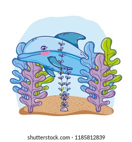 cute dolphin animal with seaweed plants