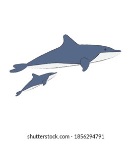 Cute Dolphin cartoon character, Vector illustration of a Dolphin.	