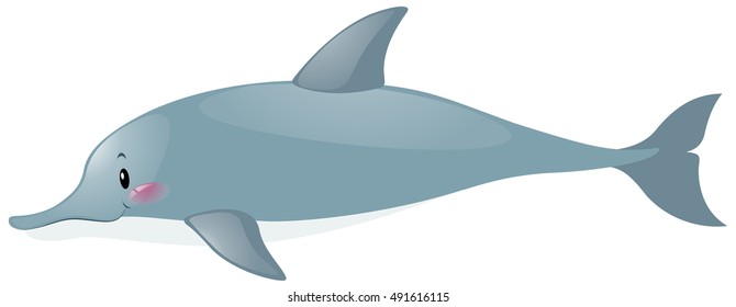 Cute Delfin auf weißem Hintergrund, Vektorgrafik