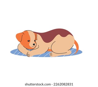 Cute domestic animal. Sticker with beautiful adult dog lying on blue rug. Orange spotted puppy resting and relaxing. Fluffy pet. Cartoon flat vector illustration isolated on white background