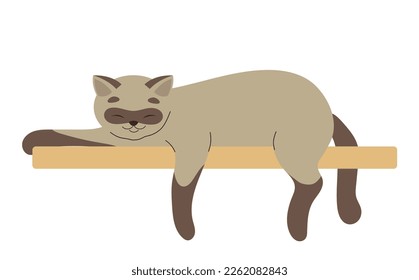 Cute domestic animal. Sticker with beautiful adult or elderly cat lying on wooden shelf resting and relaxing. Kitten sleeping. Funny pet. Cartoon flat vector illustration isolated on white background