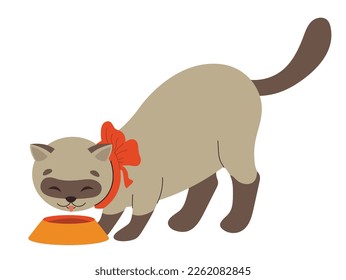 Cute domestic animal. Sticker with beautiful beige cat eating food from bowl. Hungry kitten satisfies appetite. Beautiful pet with bow. Cartoon flat vector illustration isolated on white background