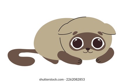 Cute domestic animal. Sticker with funny little cat or newborn fluffy kitten. Beautiful pet Siamese breed. Design element for printing. Cartoon flat vector illustration isolated on white background