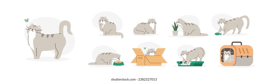 Cute domestic cat daily activity, behavior, poses mega set. Adorable feline animal eating, using litter box, sleeping and playing. Pet care concept. Flat vector illustration 