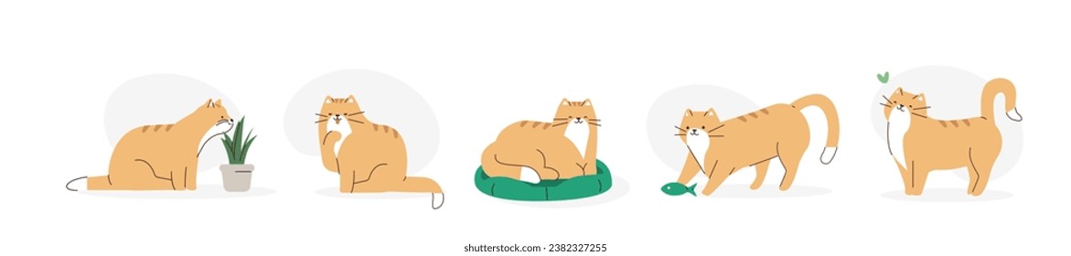 Cute domestic cat plying with toy, eating cat grass, grooming himself. Adorable feline animal daily activity, behavior, poses funny set. Pet care concept. Flat vector illustration