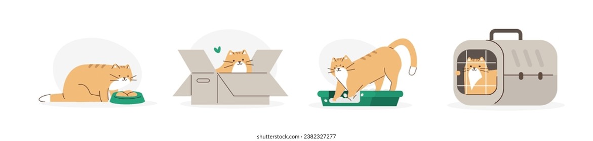 Cute domestic cat sitting in a carrier bag, eating food, using litter box. Adorable feline animal daily activity, behavior, poses funny set. Pet care concept. Flat vector illustration