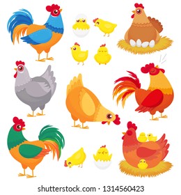 Cute domestic chicken. Farm breeding hen, poultry rooster and chickens with chick. Hens, domestic roosters and broilers chicks. Easter birds in nest cartoon vector isolated icons set