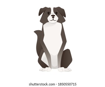 Cute domestic dog border collie cartoon animal design flat vector illustration