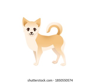 Cute domestic dog chihuahua cartoon animal design flat vector illustration