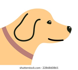 Cute domestic dog labrador. Head portrait with collar. Friendly funny pet. One animal. Flat vector illustration isolated on white background