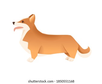 Cute domestic dog Pembroke Welsh Corgi cartoon animal design flat vector illustration