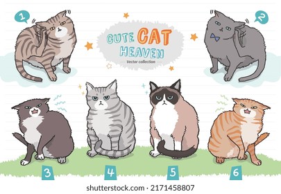 Cute domestic pet cat vector collection with different poses and fur patterns. Cartoon animal elements isolated on grass background, including tabby, Russian blue, tuxedo and snowshoe.