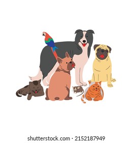 Cute domestic pets group portrait. Happy doggies, cats and parrot posing together. Funny canine animals gang with English Bulldog, Pug, Border Collie. Isolated flat vector illustration