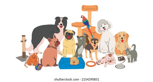 Cute domestic pets group portrait with pets stuff. Happy doggies, puppies, cats and parrot posing together. Funny canine animals gang with Poodle, Pug, Chihuahua, Border Collie, French Bulldog.