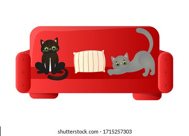 Cute domestic two cats resting on the soft red sofa with the pillow. Vector illustration in flat cartoon style.